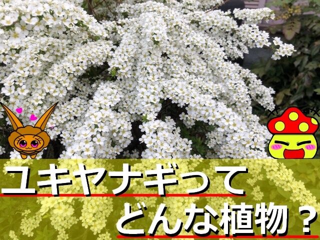 Thumbnail of post image 144